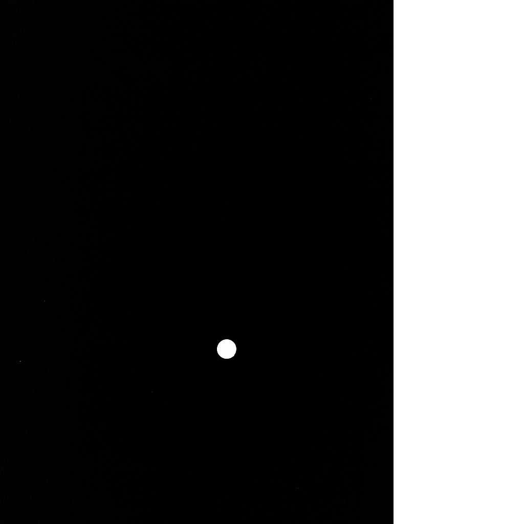 Loneliness