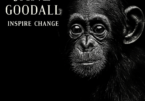 Jane Goodall - The Powerful Activist Mind Of Environmental Certainty